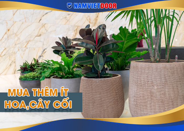mua them &iacute;t c&acirc;y cối &dstrok;ể trong nh&agrave; cho tươi xinh