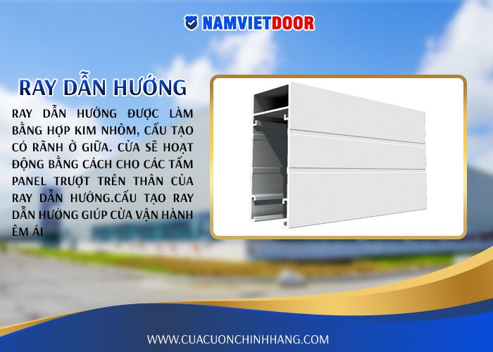 ray dẫn hướng